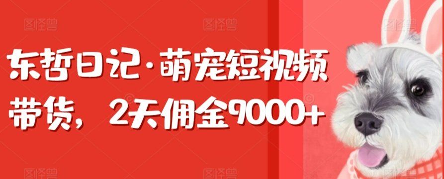 
          东哲日记·萌宠短视频带货，2天佣金9000+ - Featured image
        