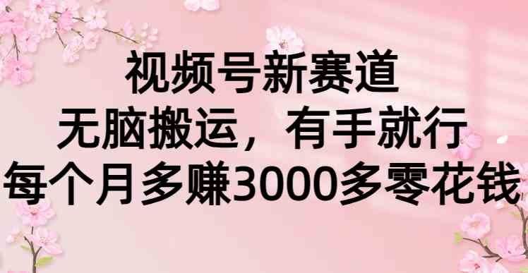 
          （9277期）视频号新赛道，无脑搬运，有手就行，每个月多赚3000多零花钱 - Featured image
        