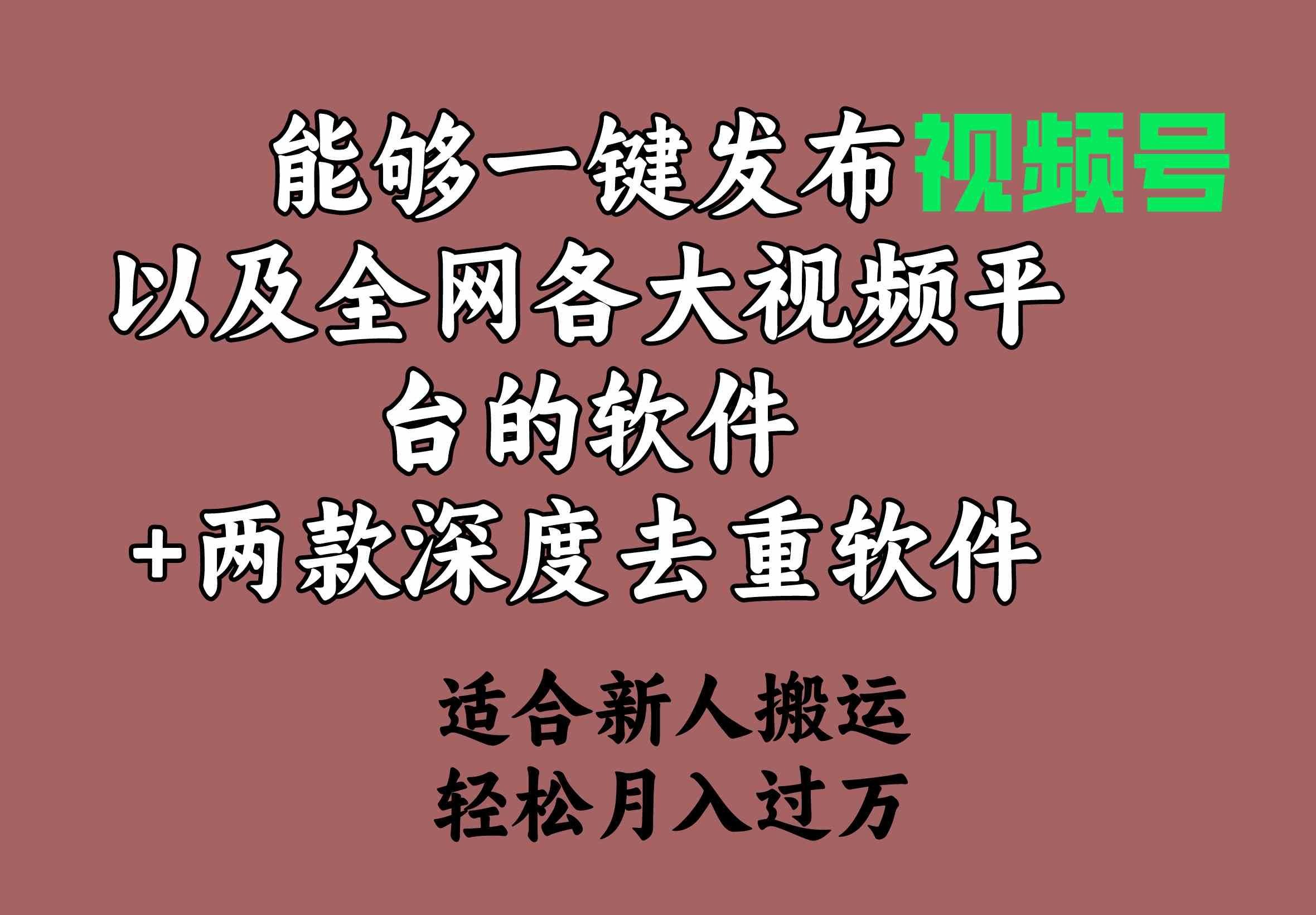 
          （9319期）能够一键发布视频号以及全网各大视频平台的软件+两款深度去重软件 适合… - Featured image
        