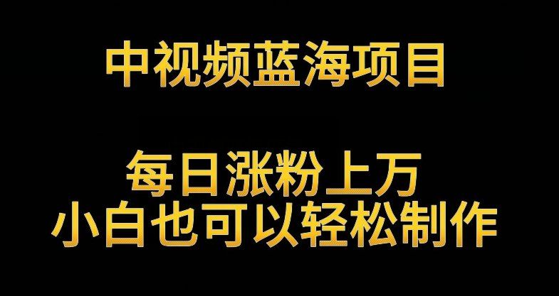 
          中视频蓝海项目，解读英雄人物生平，每日涨粉上万，小白也可以轻松制作，月入过万不是梦 - Featured image
        