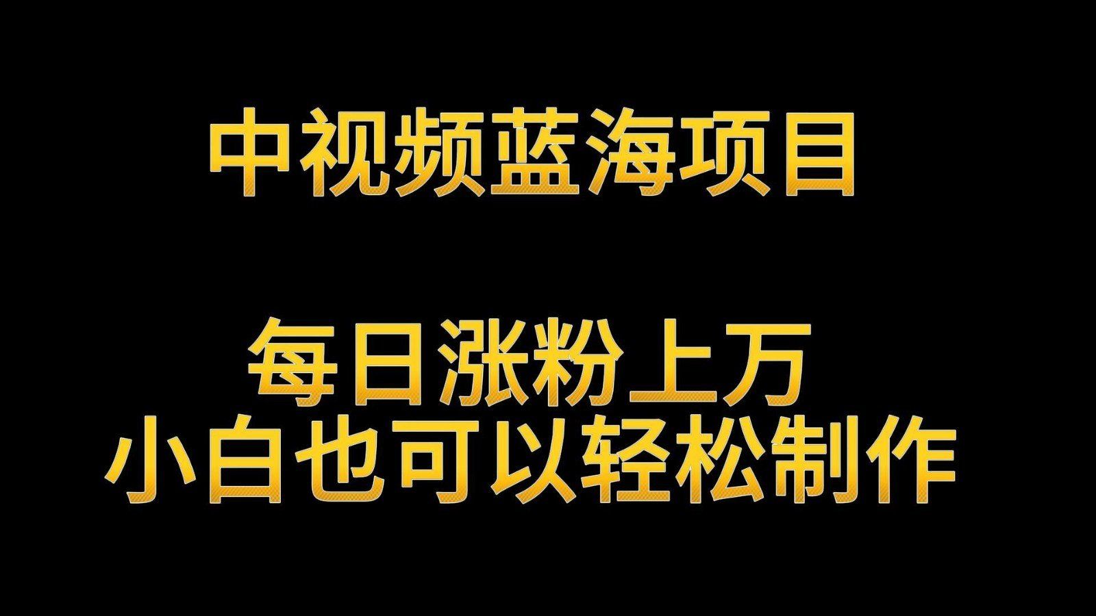 
          中视频蓝海项目，解读英雄人物生平，每日涨粉上万，小白也可以轻松制作，月入过万 - Featured image
        