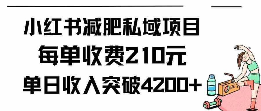 
          （9466期）小红书减肥私域项目每单收费210元单日成交20单，最高日入4200+ - Featured image
        