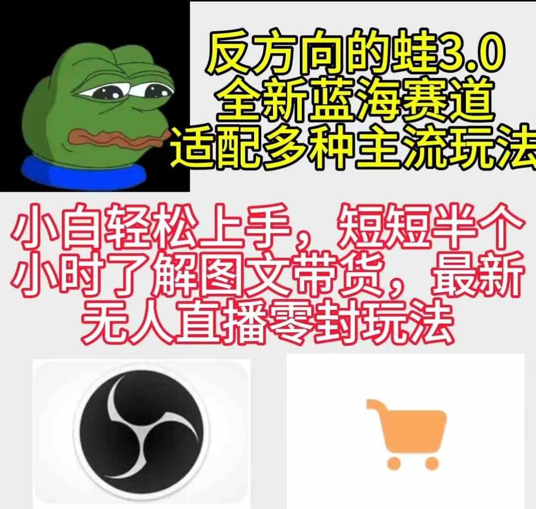 
          （9485期）反方向的蛙3.0，图文最新玩法，变现多元化，新蓝海项目，小白轻松上手 - Featured image
        