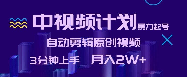 
          中视频计划暴力起号，自动剪辑原创视频，3分钟上手，月入2W+ - Featured image
        