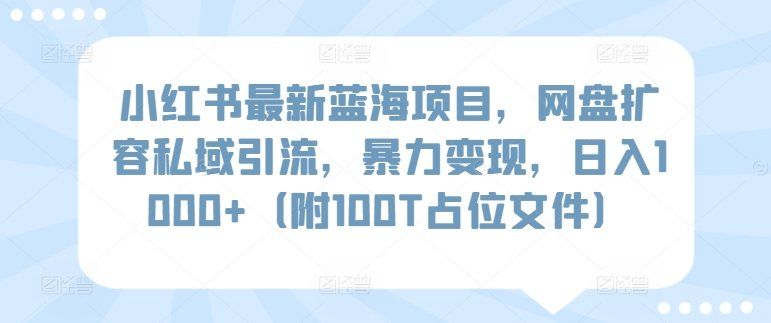 
          小红书最新蓝海项目，网盘扩容私域引流，暴力变现，日入1000+（附100T占位文件） - Featured image
        