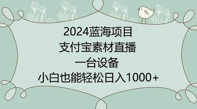 
          2024年蓝海项目，支付宝素材直播，无需出境，小白也能日入1000+ ，实操教程 - Featured image
        