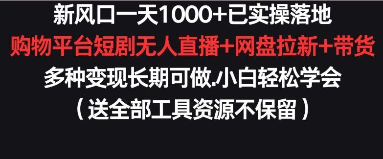 
          新风口一天1000+已实操落地购物平台短剧无人直播+网盘拉新+带货多种变现长期可做 - Featured image
        