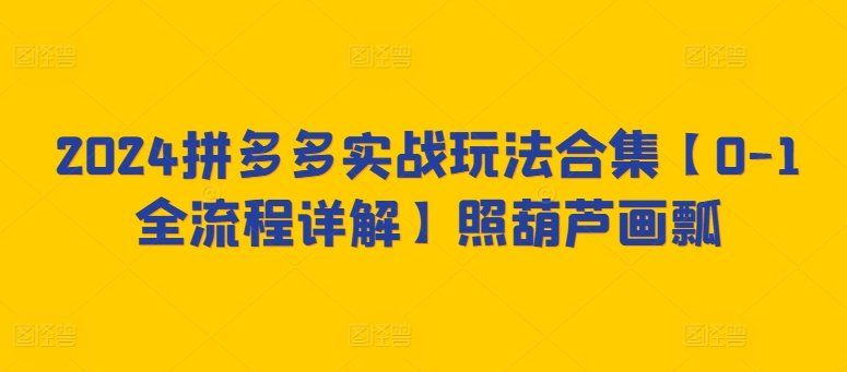 
          2024拼多多实战玩法合集【0-1全流程详解】照葫芦画瓢 - Featured image
        
