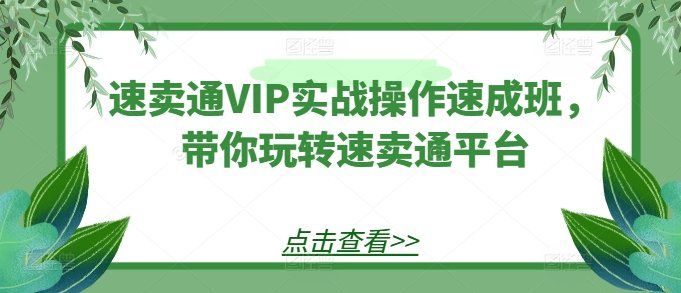 
          速卖通VIP实战操作速成班，带你玩转速卖通平台 - Featured image
        