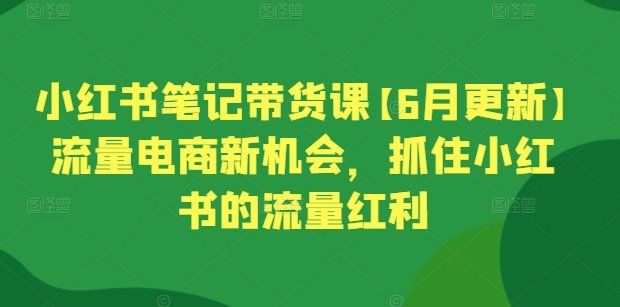 
          小红书笔记带货课【6月更新】流量电商新机会，抓住小红书的流量红利 - Featured image
        