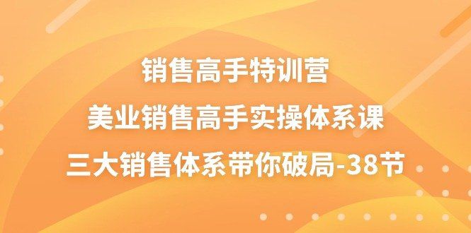 
          销售高手特训营，美业销售高手实操体系课，三大销售体系带你破局（38节） - Featured image
        