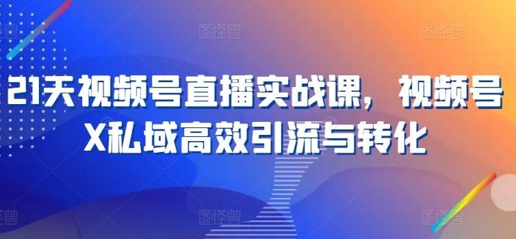 
          21天视频号直播实战课，视频号X私域高效引流与转化 - Featured image
        