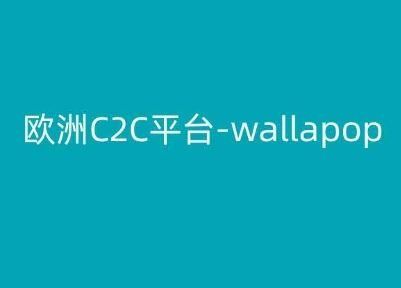 
          欧洲C2C平台-wallapop-kim跨境电商教程 - Featured image
        