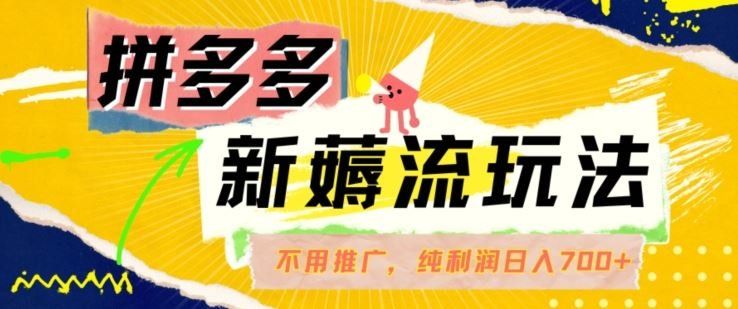 
          拼多多最新薅流玩法，无需开车推广，纯靠自然流吃饭-单纯赚50+利润，日入700+【揭秘】 - Featured image
        
