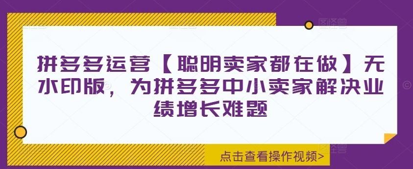 
          拼多多运营【聪明卖家都在做】无水印版，为拼多多中小卖家解决业绩增长难题 - Featured image
        