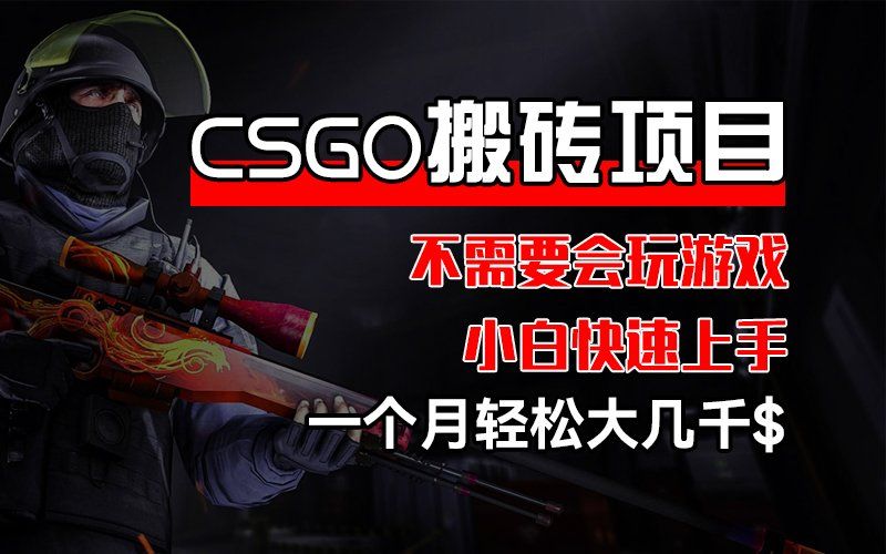 
          （12332期）CSGO 装备搬砖项目，操作简单，不需要会玩游戏，小白也能快速上手，一… - Featured image
        