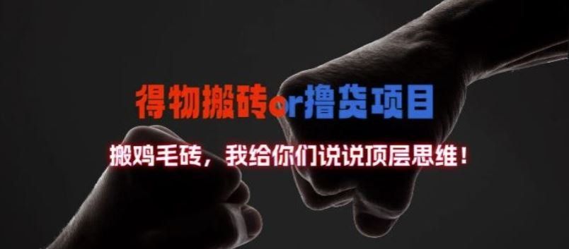 
          得物搬砖撸货项目?掰下数据，我给你们说说顶层思维【揭秘】 - Featured image
        