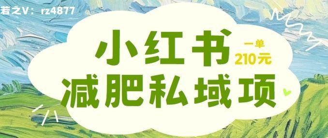 
          小红书减肥粉，私域变现项目，一单就达210元，小白也能轻松上手【揭秘】 - Featured image
        