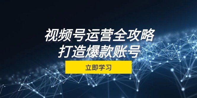
          视频号运营全攻略，从定位到成交一站式学习，视频号核心秘诀，打造爆款账号 - Featured image
        