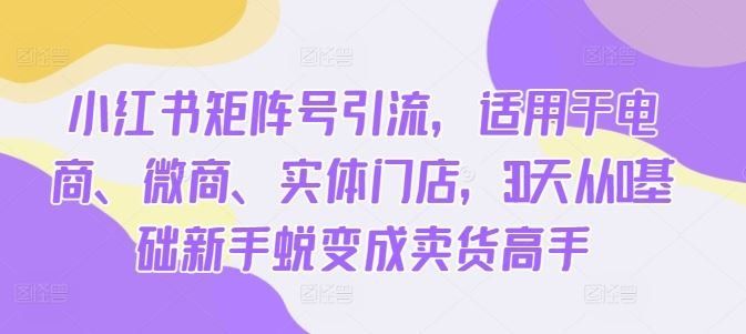 
          小红书矩阵号引流，适用于电商、微商、实体门店，30天从0基础新手蜕变成卖货高手 - Featured image
        
