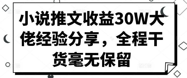 
          小说推文收益30W大佬经验分享，全程干货毫无保留 - Featured image
        