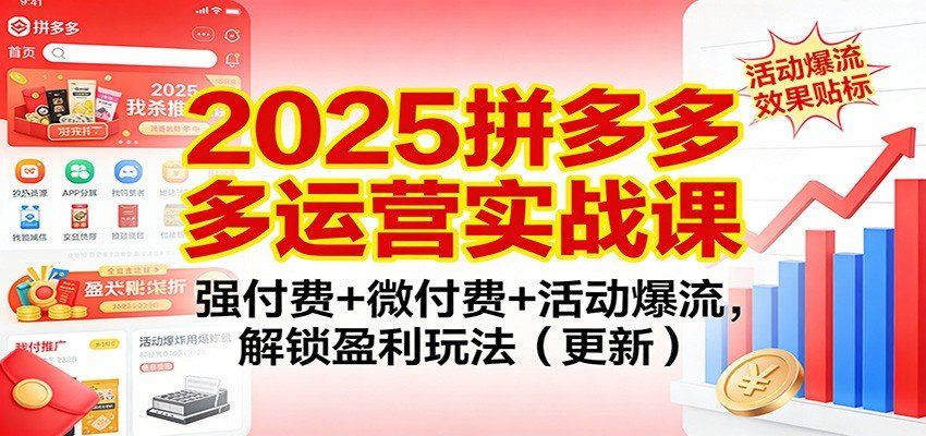 
          2025拼多多运营实战课：强付费+微付费+活动爆流，解锁盈利玩法（更新） - Featured image
        