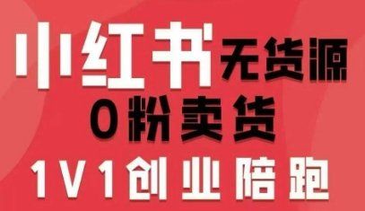 
          小红书无货源0粉电商课，开店准备、选品策略、笔记撰写、视频剪辑、数据分析、账号打造、资料文档（更新） - Featured image
        