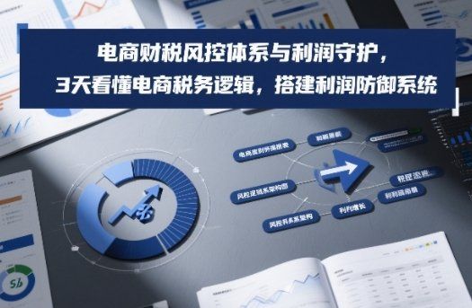 
          电商财税风控体系与利润守护，3天看懂电商税务逻辑，搭建利润防御系统 - Featured image
        