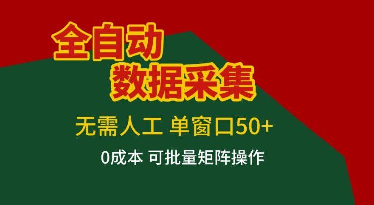 
          全自动数据采集，无需人工，单窗口50+，0成本可批量矩阵操作【揭秘】 - Featured image
        