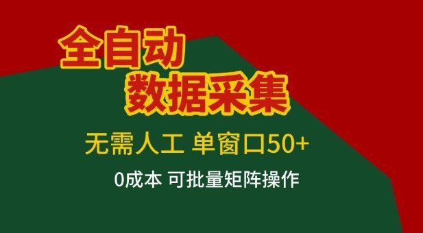 
          全自动数据采集项目，无需人工，单窗口可达50+收益，操作简单无难度，一个人也能轻松实现矩阵【揭秘】 - Featured image
        
