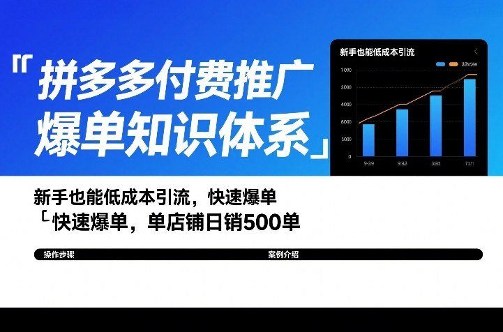 
          拼多多付费推广爆单知识体系，新手也能低成本引流，快速爆单，单店铺日销500单 - Featured image
        