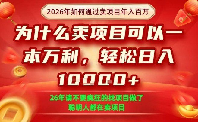 
          一单净利润1K+，26年想年入100个W，死磕卖项目就够了【揭秘】 - Featured image
        