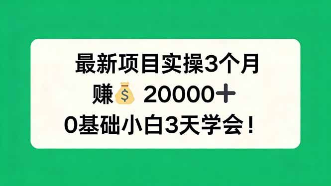 
          最新项目实操3个月，赚钱20000+，0基础小白3天学会！ - Featured image
        