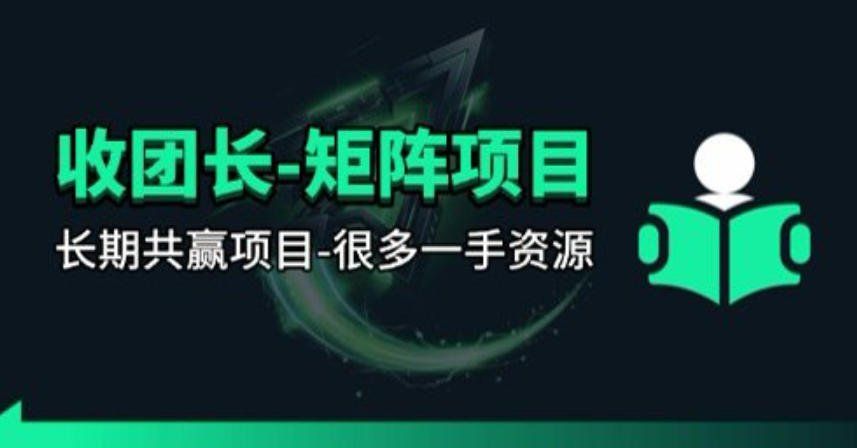 
          【团长合作】视频矩阵项目_招发手矩阵+剪辑师，共赢项目【揭秘】 - Featured image
        