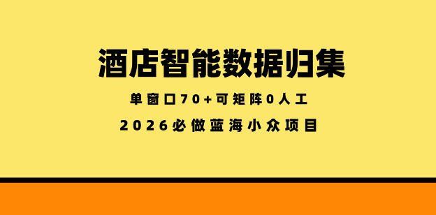 
          酒店智能数据归集，小众蓝海已经稳定半年之久，单窗口70+零成本矩阵开干【揭秘】 - Featured image
        