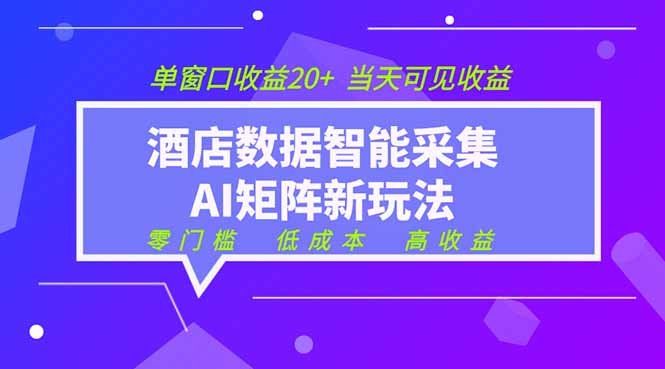 
          2026酒店数据采集ai智能矩阵新风口  低成本   高收益   当天见收益   单窗口20+ - Featured image
        